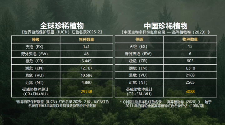 202603311228471323220180