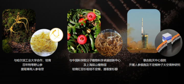 20260331122848936430516