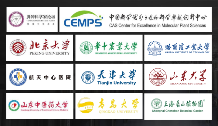 20260331122851541979151