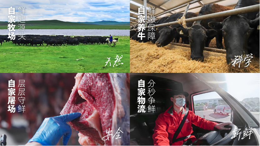 1783332322713774.png 新闻稿配图-4.png
